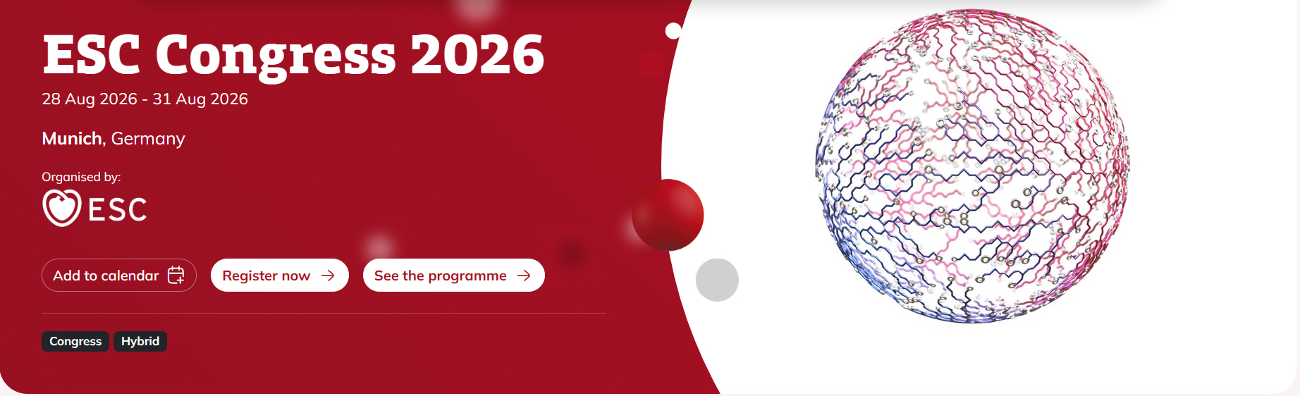2026欧洲会议.jpg